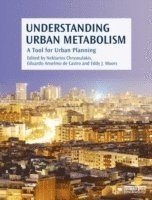 Understanding Urban Metabolism