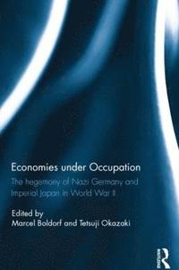 bokomslag Economies under Occupation