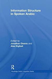 bokomslag Information Structure in Spoken Arabic