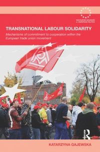 bokomslag Transnational Labour Solidarity