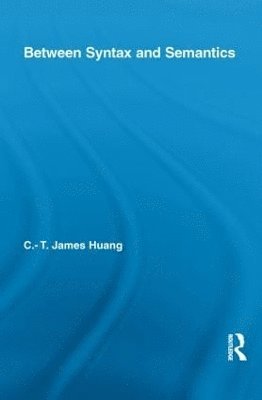 Between Syntax and Semantics