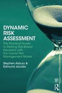 bokomslag Dynamic Risk Assessment