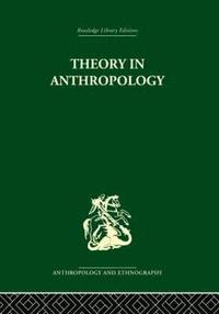 bokomslag Theory in Anthropology