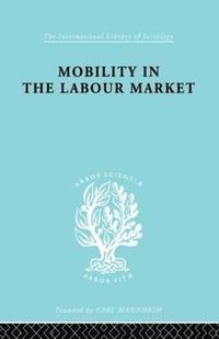 bokomslag Mobility in the Labour Market