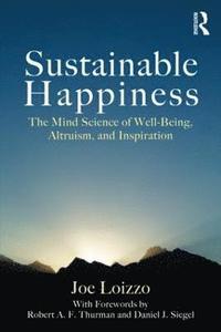 bokomslag Sustainable Happiness