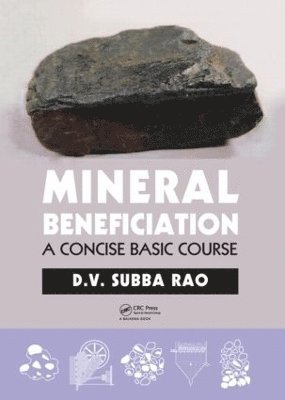 D.V. Subba Rao, D. V. Subba Rao - Mineral Beneficiation, Inbunden
