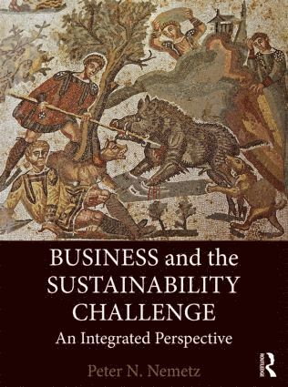 bokomslag Business and the Sustainability Challenge