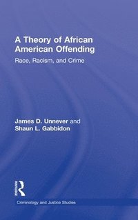 bokomslag A Theory of African American Offending