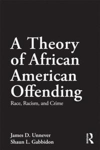 bokomslag A Theory of African American Offending