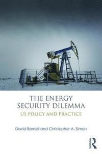 bokomslag The Energy Security Dilemma