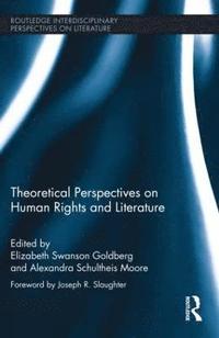bokomslag Theoretical Perspectives on Human Rights and Literature