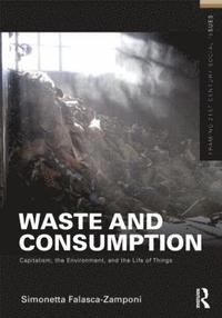bokomslag Waste and Consumption
