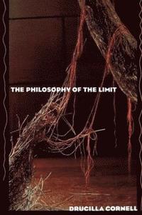 bokomslag The Philosophy of the Limit