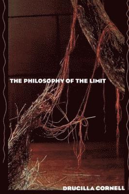 The Philosophy of the Limit 1