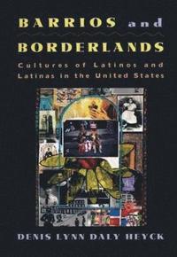 bokomslag Barrios and Borderlands