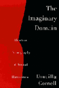bokomslag The Imaginary Domain