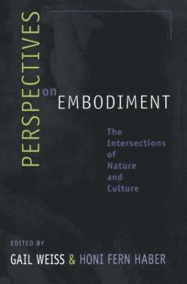 Perspectives on Embodiment 1