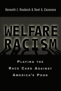 bokomslag Welfare Racism