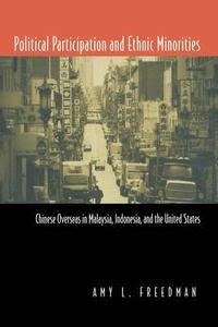 bokomslag Political Participation and Ethnic Minorities