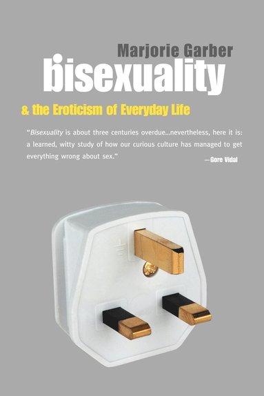 bokomslag Bisexuality and the Eroticism of Everyday Life