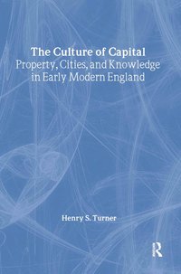 bokomslag Culture of Capital
