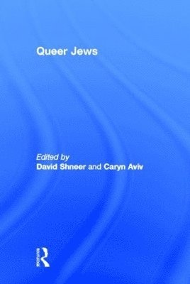 bokomslag Queer Jews