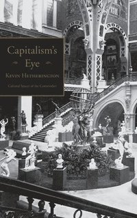 bokomslag Capitalism's Eye
