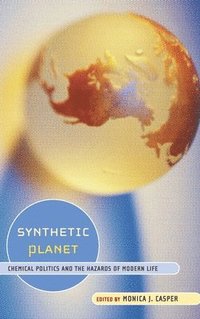 bokomslag Synthetic Planet