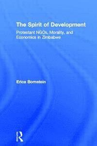 bokomslag Spirit Of Development