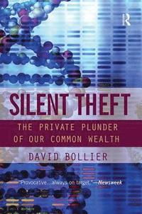 bokomslag Silent Theft