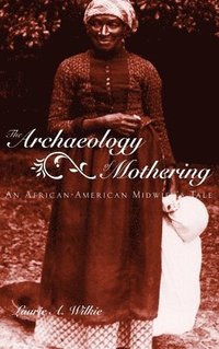 bokomslag The Archaeology of Mothering