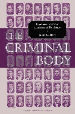 bokomslag The Criminal Body