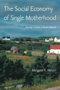 bokomslag The Social Economy of Single Motherhood