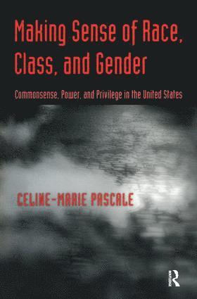 bokomslag Making Sense of Race, Class, and Gender