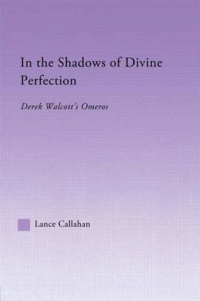 bokomslag In the Shadows of Divine Perfection