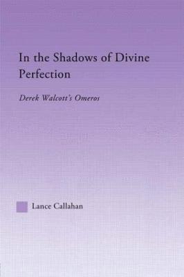 In the Shadows of Divine Perfection 1