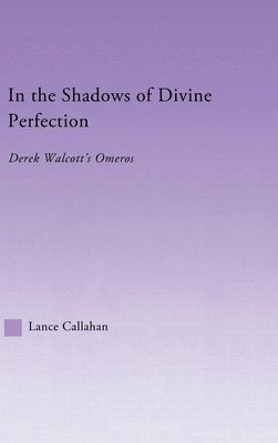 In the Shadows of Divine Perfection 1