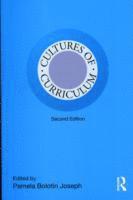 bokomslag Cultures of Curriculum