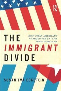 bokomslag The Immigrant Divide