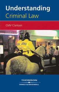 bokomslag Understanding Criminal Law