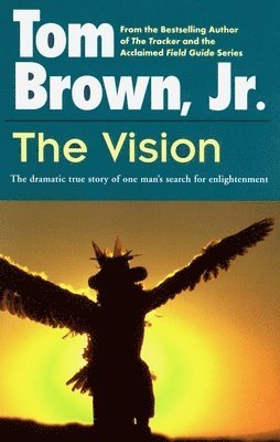 The Vision 1