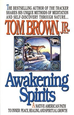 bokomslag Awakening Spirits