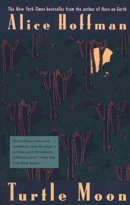 Alice Hoffman - Turtle Moon, Häftad
