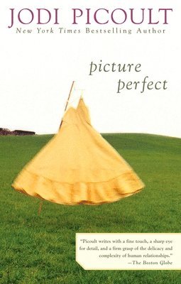 Jodi Picoult - Picture Perfect, Häftad
