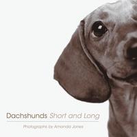 bokomslag Dachshunds