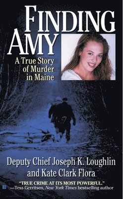bokomslag Finding Amy