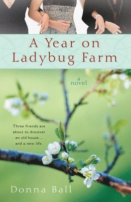 bokomslag A Year on Ladybug Farm