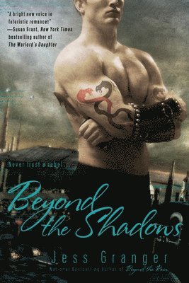 bokomslag Beyond The Shadows