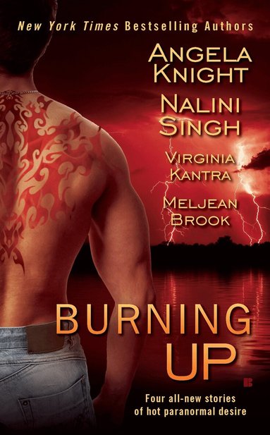 Meljean Brook, Virginia Kantra, Angela Knight - Burning Up, Häftad