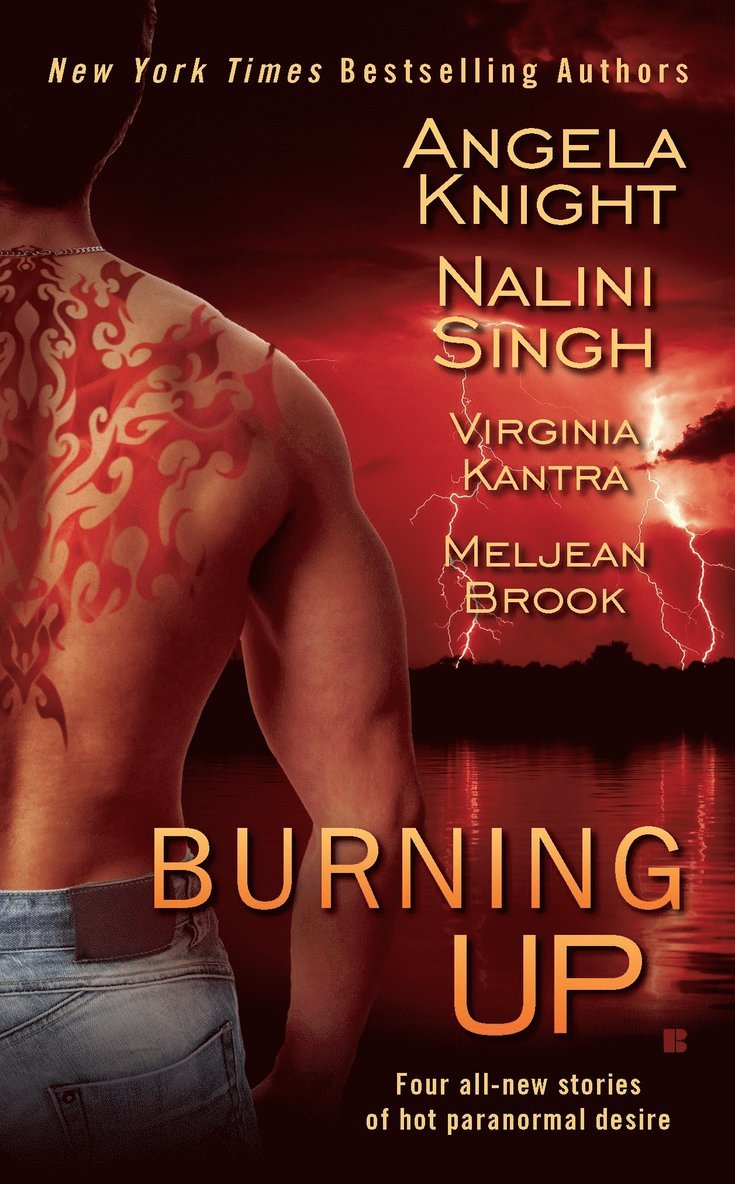 Meljean Brook, Virginia Kantra, Angela Knight, Nalini Singh - Burning Up, Häftad
